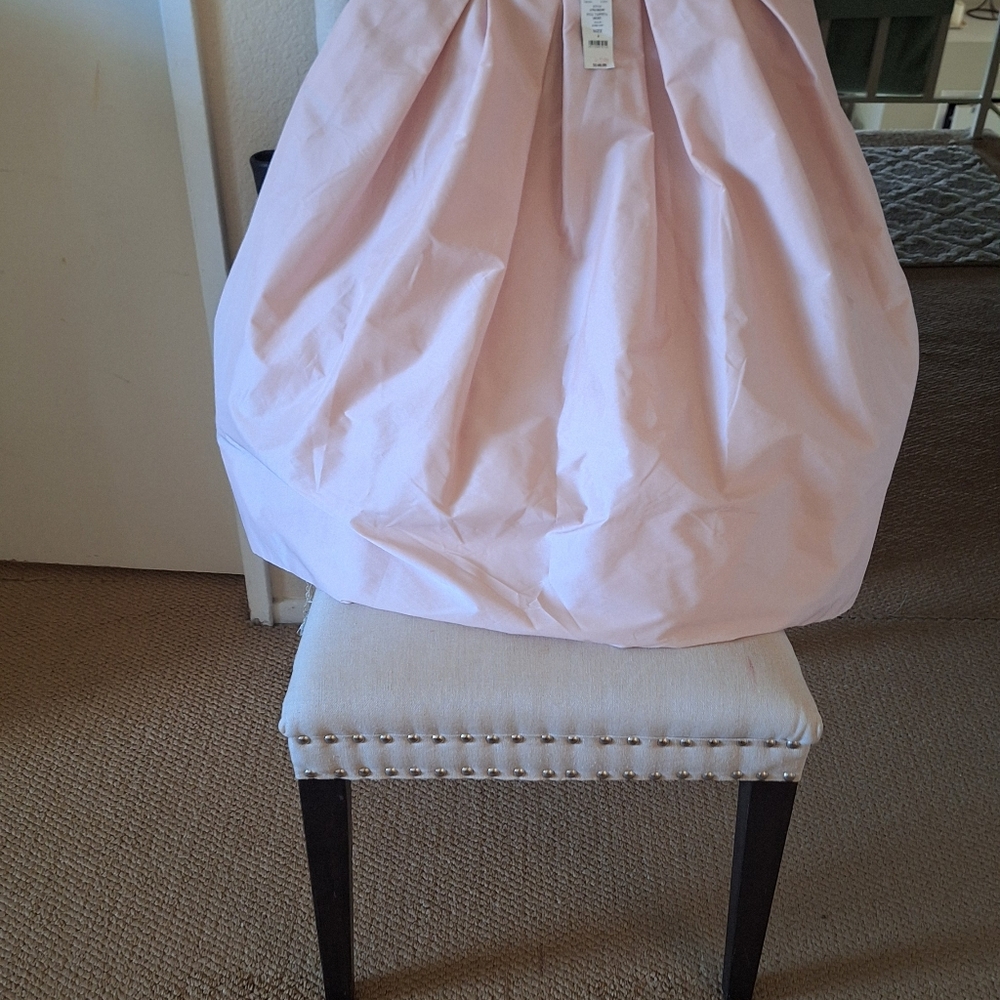 Pleated Taffeta Skirt